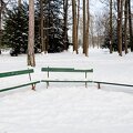 neige lyon janv2010 014